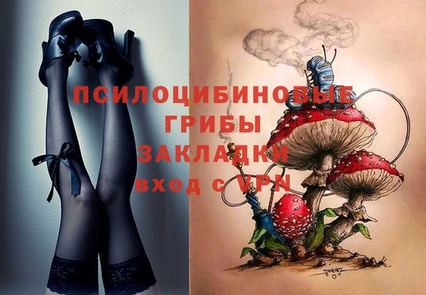 МДМА Новозыбков