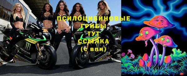 МДМА Новозыбков