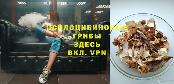 mdma Новодвинск