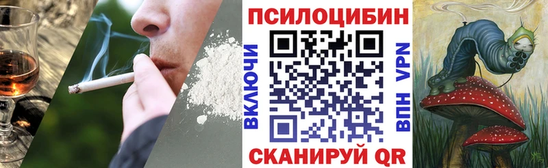 Псилоцибиновые грибы прущие грибы  mega tor  Исилькуль 