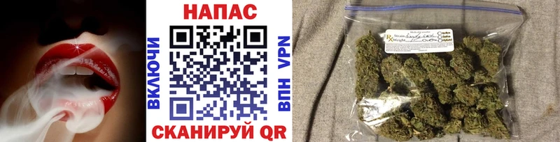Конопля SATIVA & INDICA Исилькуль